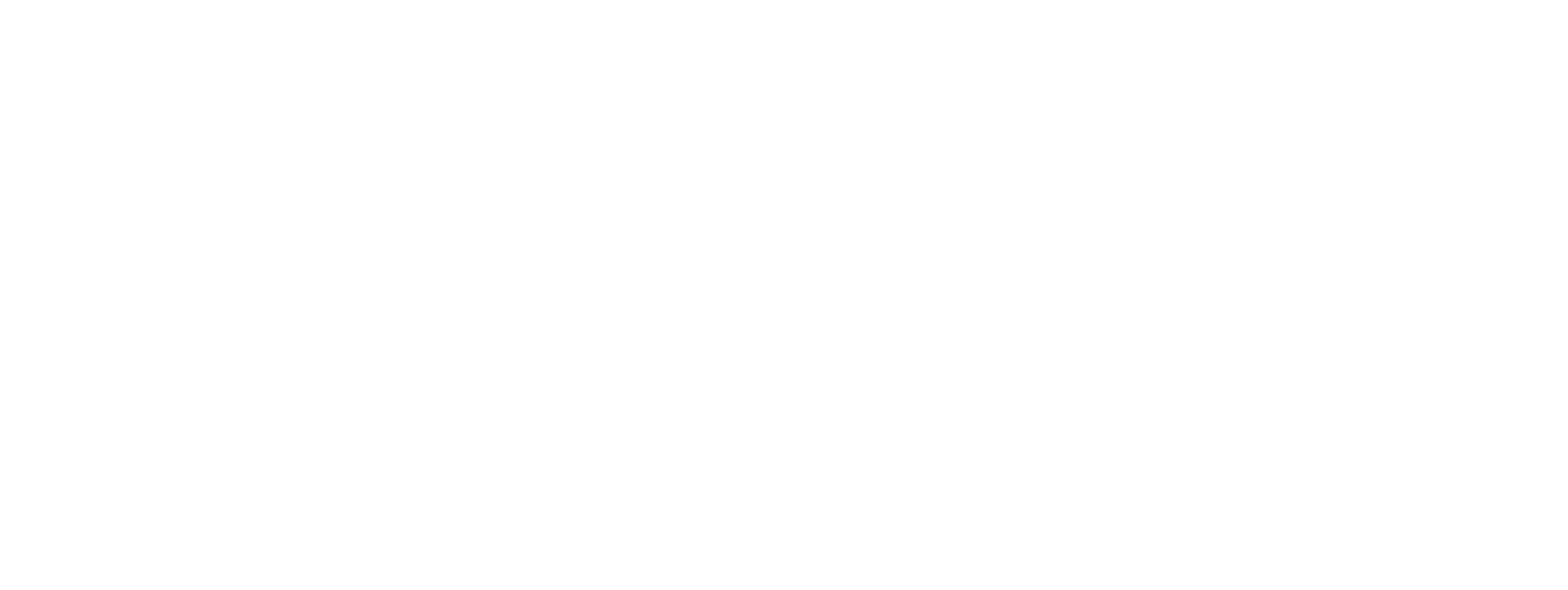 Developer Nation logo